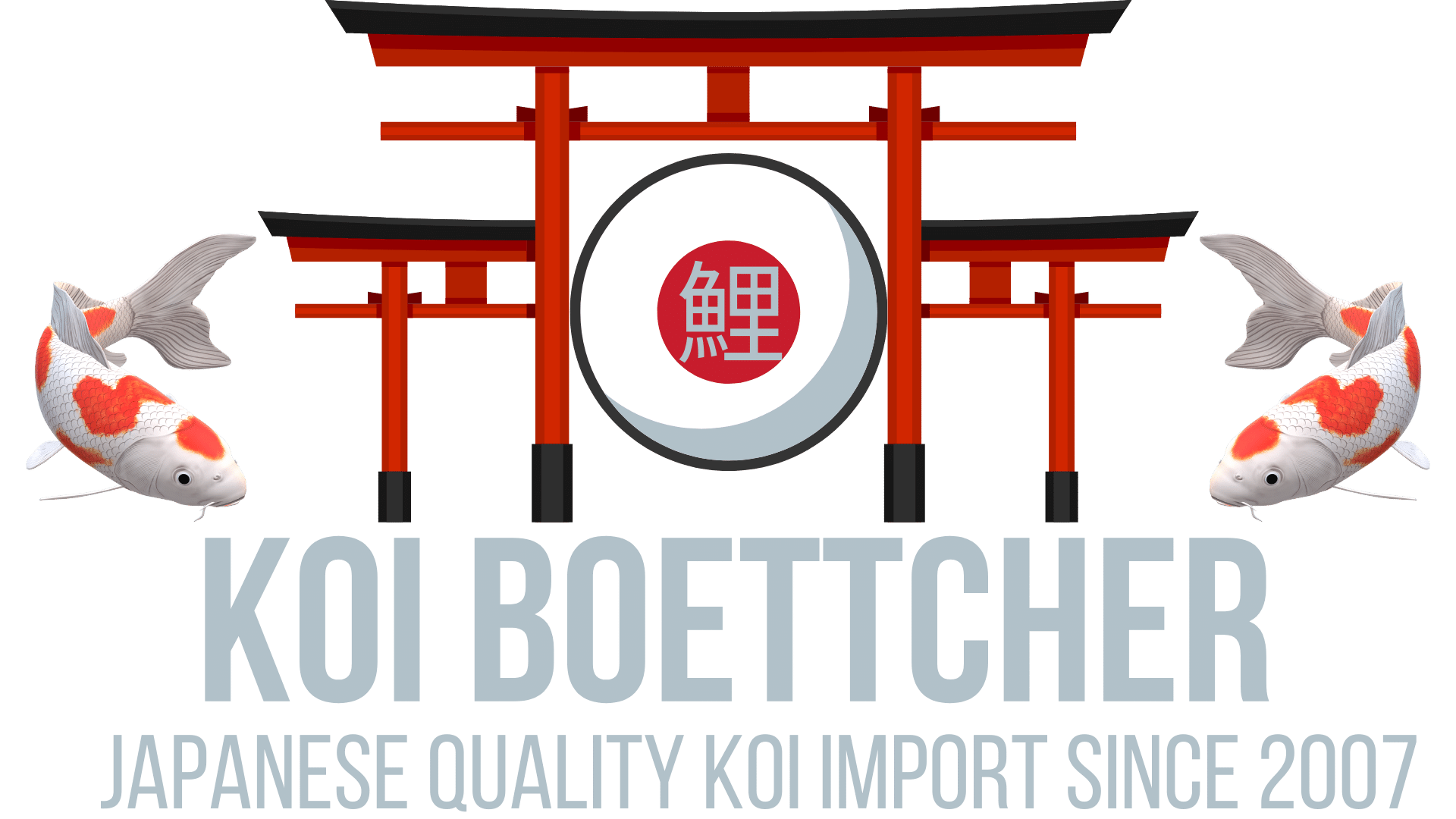 Koi-Böttcher